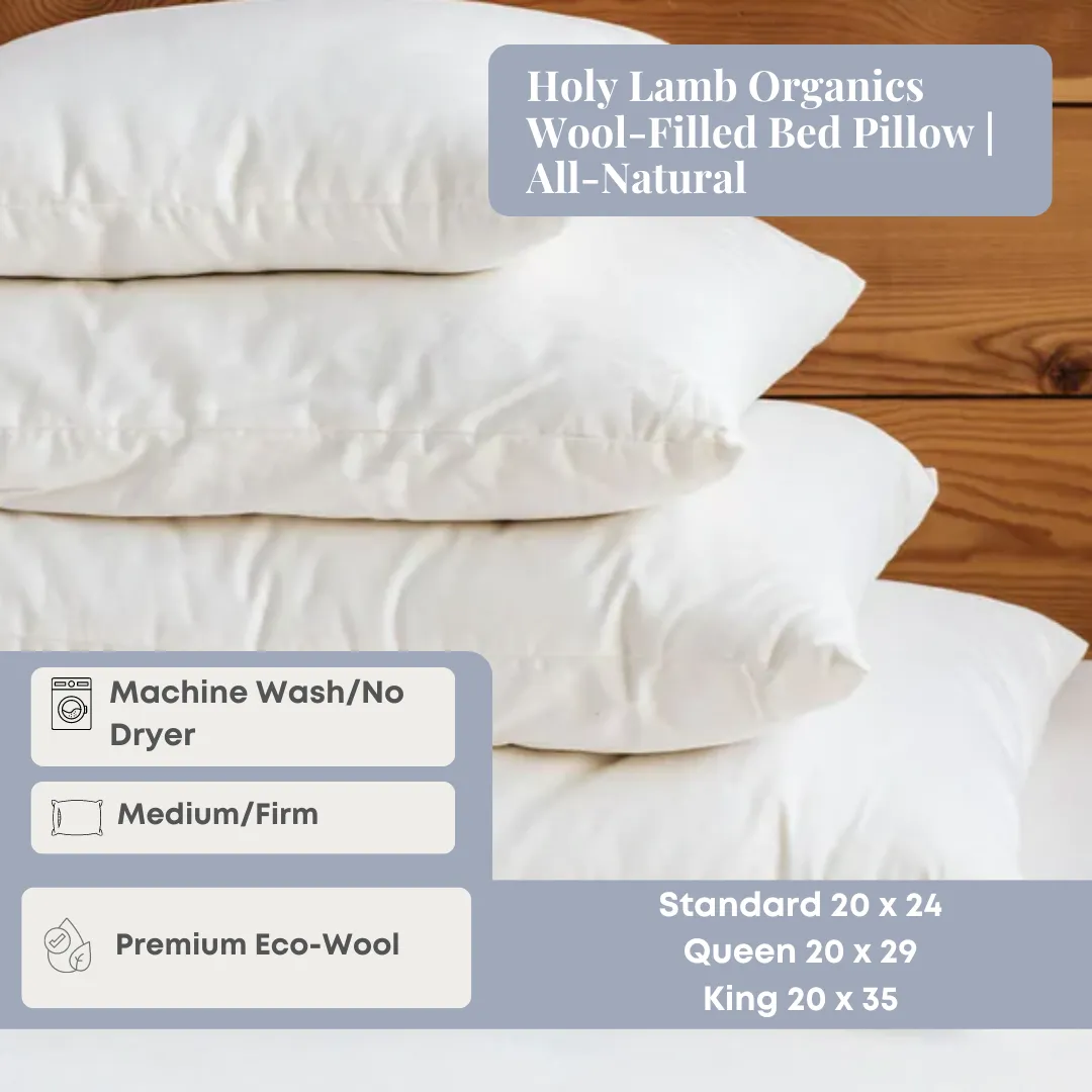 Holy Lamb Organics Wool-Filled Bed Pillow | All-Natural